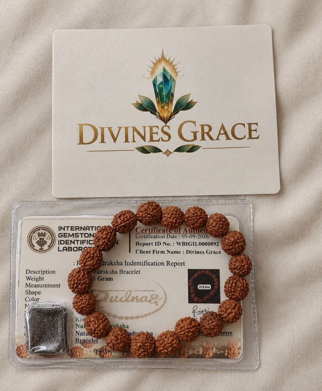 Natural Rudraksh Bracelet (ORDER and Get FREE 10 Minutes of consultation)